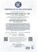 China Puyang Zhongshi Group Co., Ltd. certification