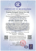 China Puyang Zhongshi Group Co., Ltd. certification