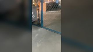 spare part plunger of sucker rod pump